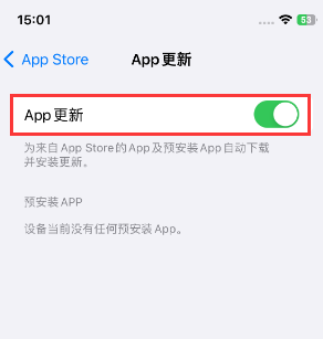 安顺苹果15维修中心如何让iPhone15APP自动更新