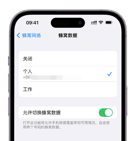 安顺苹果维修服务分享如何在iPhone上使用双卡 